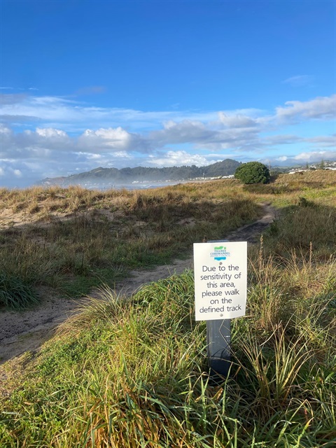 dunes-whangamata.jpg