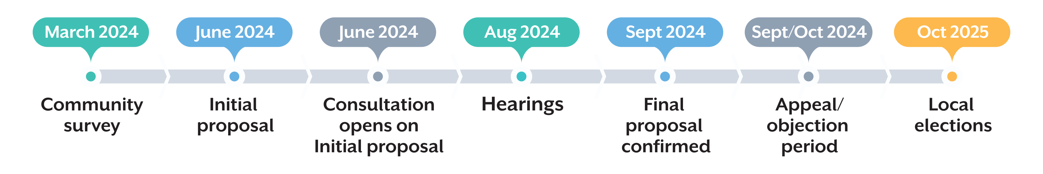 Representation Review_TIMELINE_2024.png