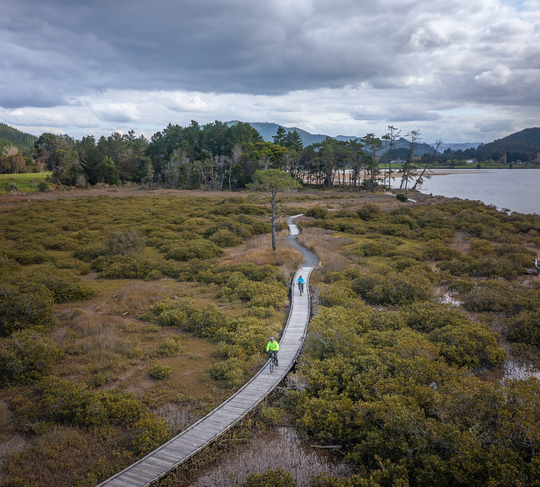 Tairua River Trail.png