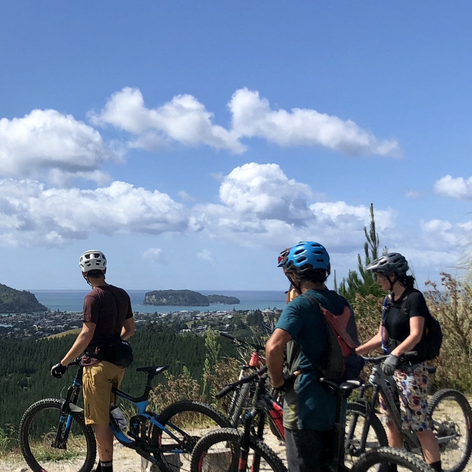 Whangamata Mountain bike Park (9).jpg