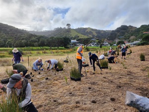 kuotunu-planting.jpg