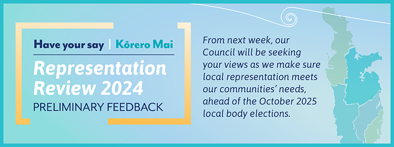 TCDC_Representation Review_NEWSLETTER BANNNER.png