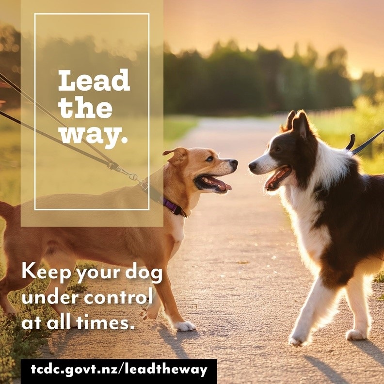 lead-the-way-dec-24.jpg