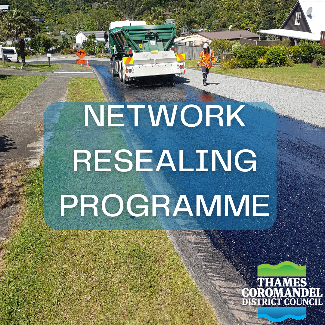 NETWORK RESEALING PROGRAMME (2).png