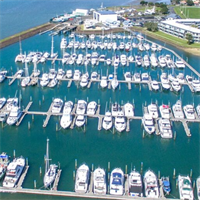 Whitianga Wharf.png