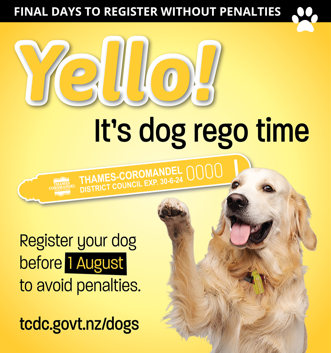 final days to to register without penalties.png