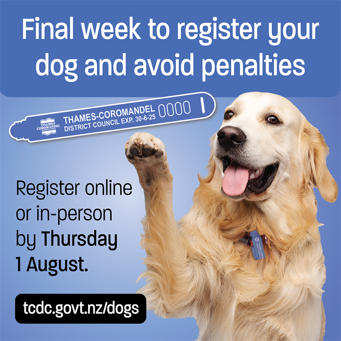 Dog Registration 1080x1080_FINAL WEEK_2024_WEB.png