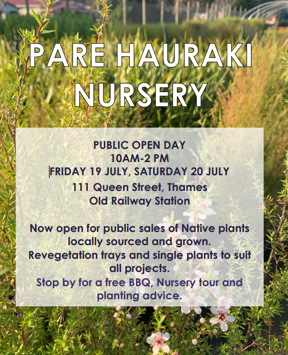 Pare Hauraki Nursery.PNG