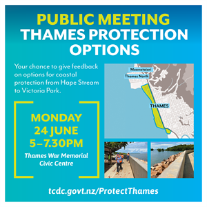 Thames protection meeting_WEB TILE.png