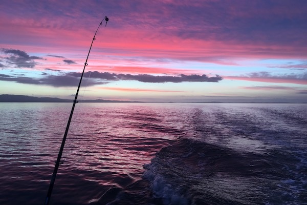 tcdc-fishing-firth-of-thames.jpg