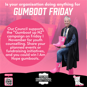 Gumboot Friday what are you doing.png