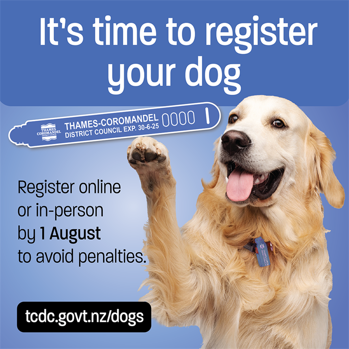 Dog Registration 1080x1080_2024.png