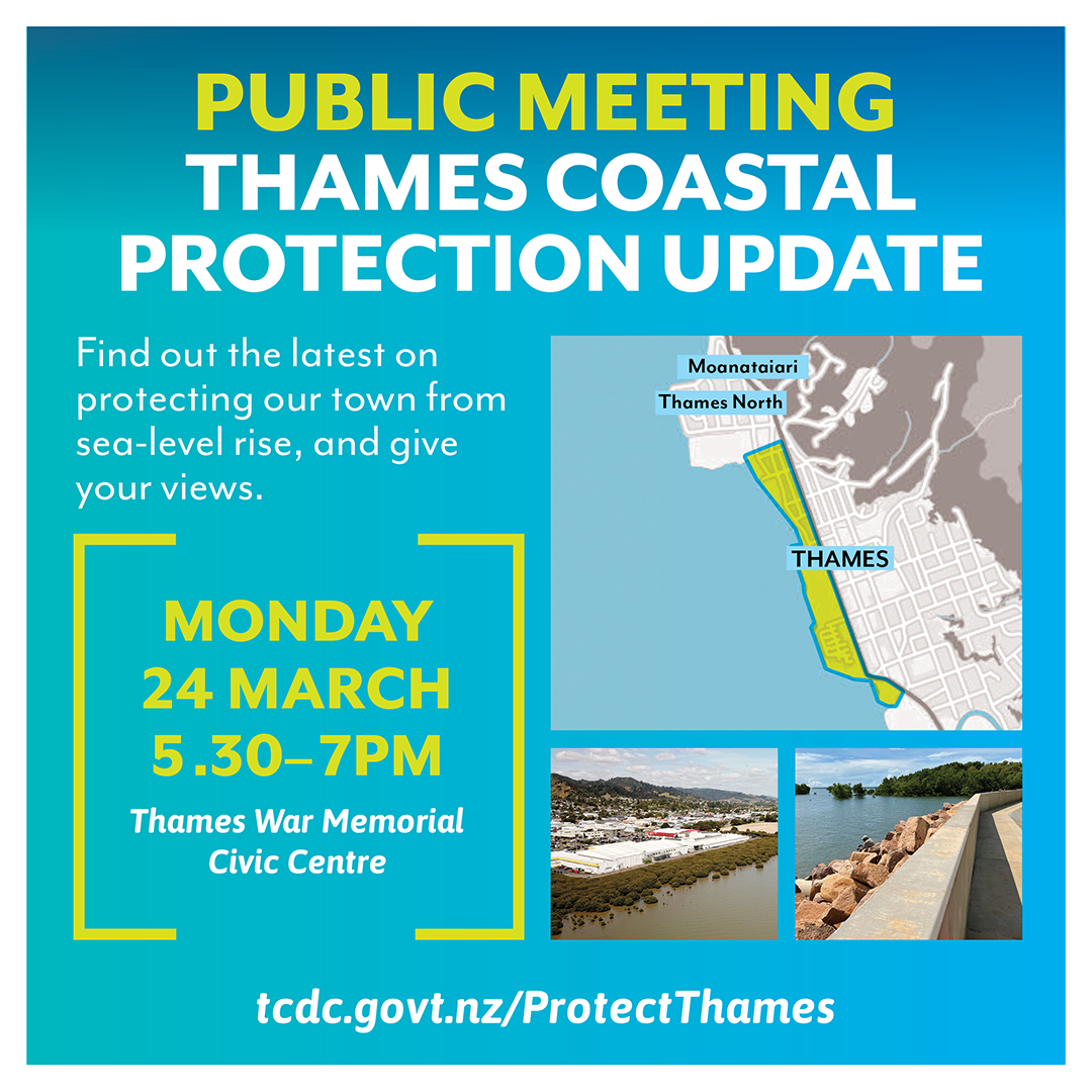 Thames sea wall protection_WEB TILE_2025.png