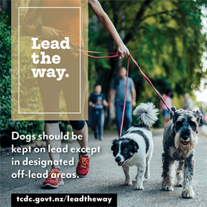 Dogs-Lead-the-Way-1080x1080-20243.png